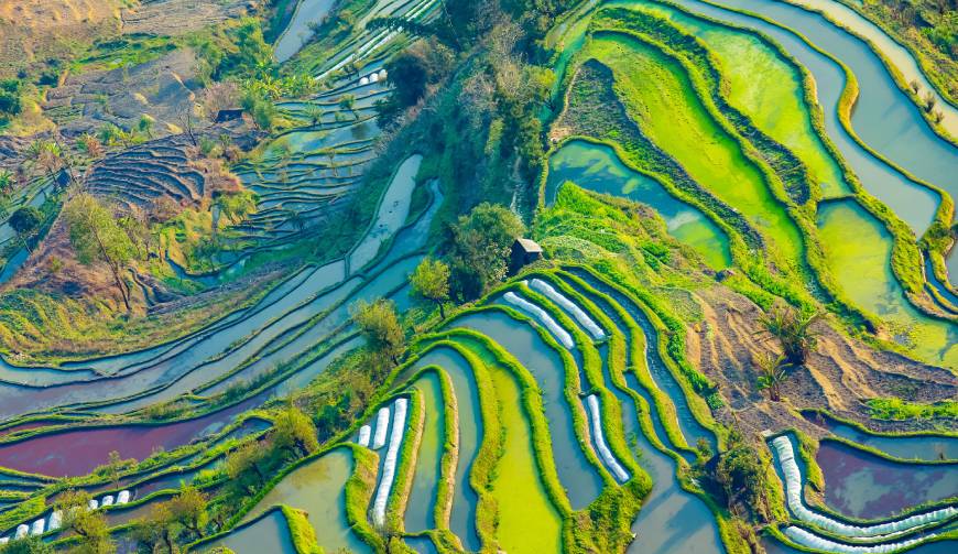 走进游仙区TVC拍摄：解锁本地化场景与创意镜头的完美融合